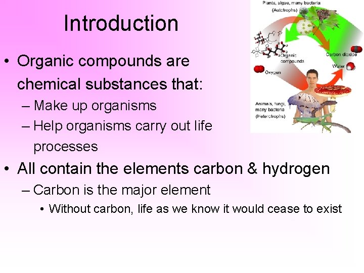 Introduction • Organic compounds are chemical substances that: – Make up organisms – Help