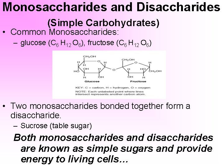 Monosaccharides and Disaccharides (Simple Carbohydrates) • Common Monosaccharides: – glucose (C 6 H 12