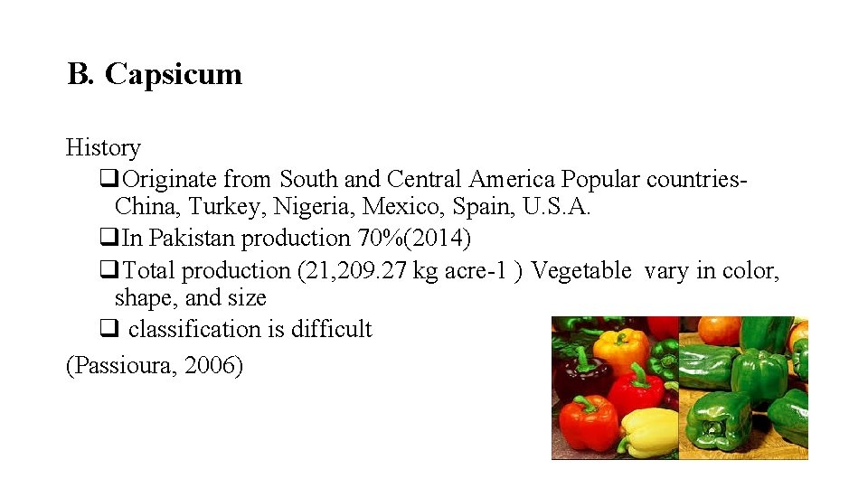 B. Capsicum History q. Originate from South and Central America Popular countries. China, Turkey,
