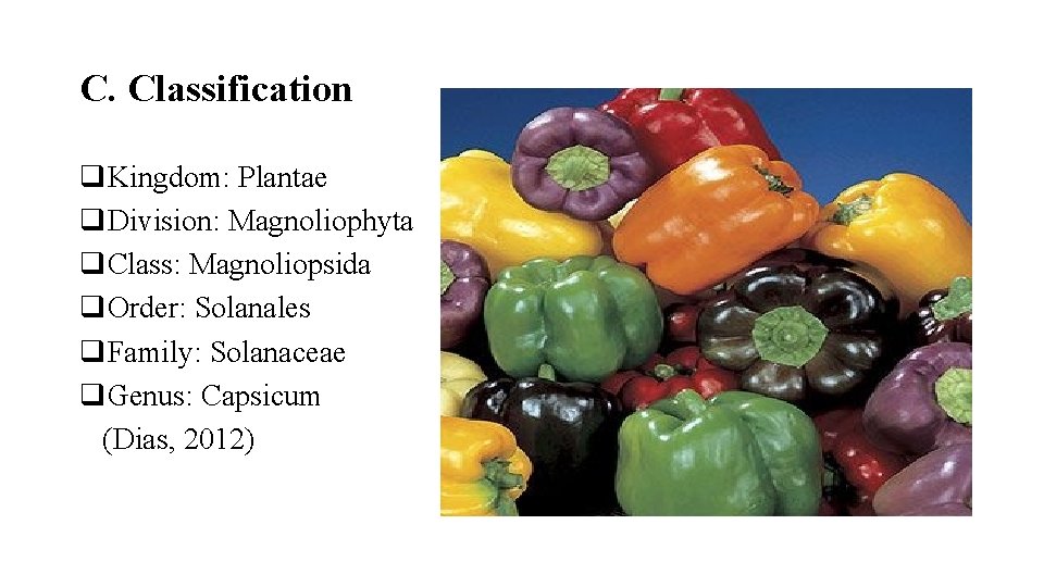C. Classification q. Kingdom: Plantae q. Division: Magnoliophyta q. Class: Magnoliopsida q. Order: Solanales