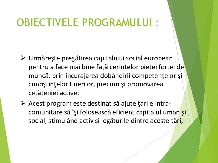 OBIECTIVELE PROGRAMULUI : Ø Urmăreşte pregătirea capitalului social european pentru a face mai bine