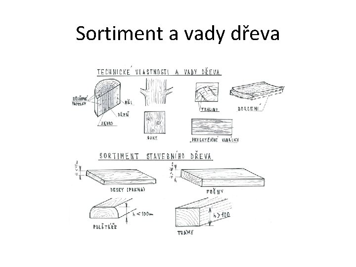 Sortiment a vady dřeva 