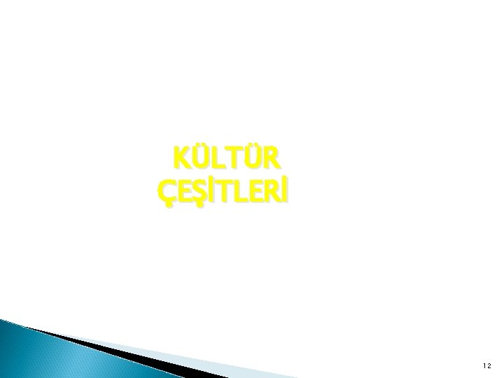 KÜLTÜR ÇEŞİTLERİ 12 