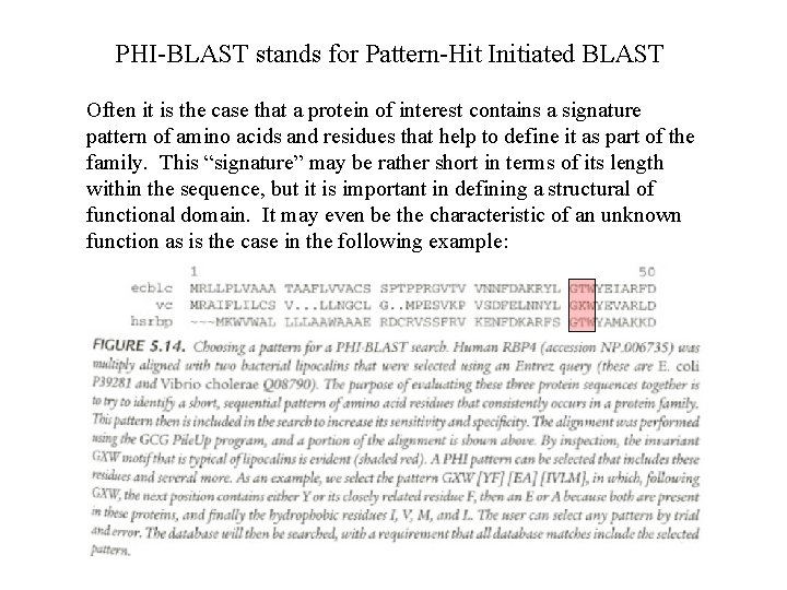 PHI-BLAST stands for Pattern-Hit Initiated BLAST Often it is the case that a protein