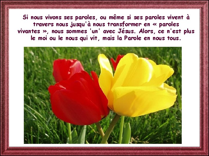Si nous vivons ses paroles, ou même si ses paroles vivent à travers nous