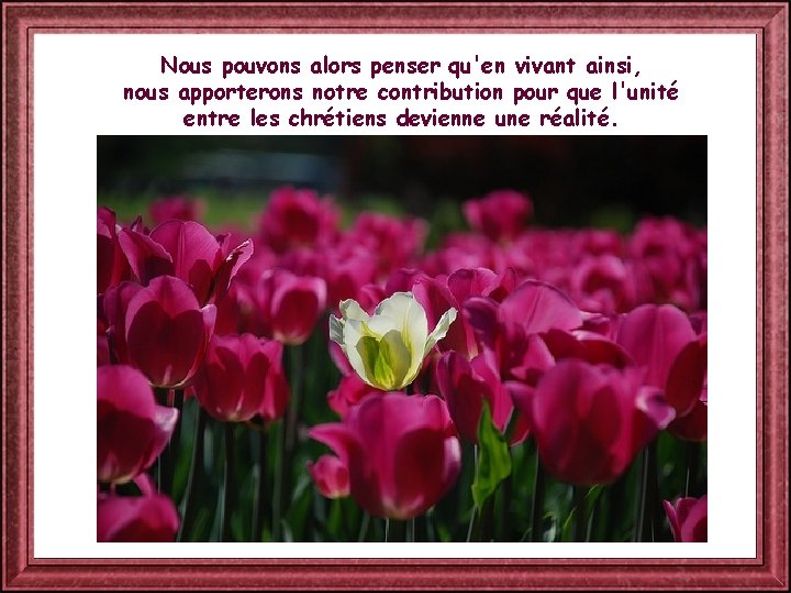 Nous pouvons alors penser qu'en vivant ainsi, nous apporterons notre contribution pour que l'unité