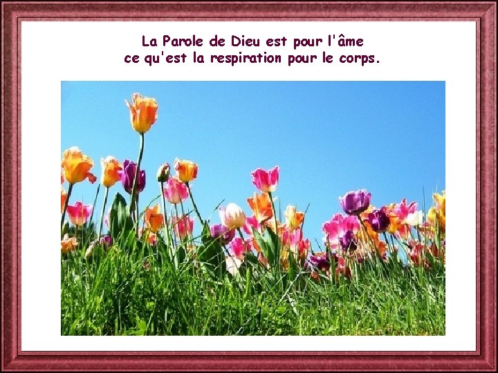 La Parole de Dieu est pour l'âme ce qu'est la respiration pour le corps.