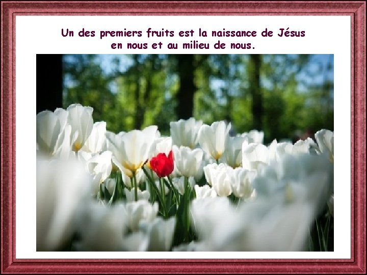 Un des premiers fruits est la naissance de Jésus en nous et au milieu