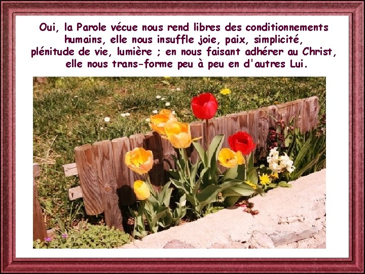 Oui, la Parole vécue nous rend libres des conditionnements humains, elle nous insuffle joie,