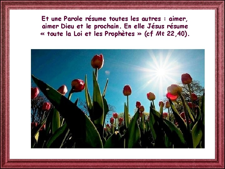 Et une Parole résume toutes les autres : aimer, aimer Dieu et le prochain.