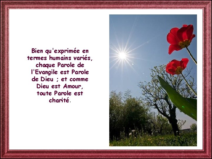 Bien qu'exprimée en termes humains variés, chaque Parole de l'Evangile est Parole de Dieu