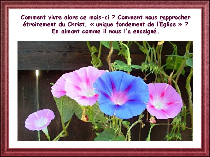 Comment vivre alors ce mois-ci ? Comment nous rapprocher étroitement du Christ, « unique