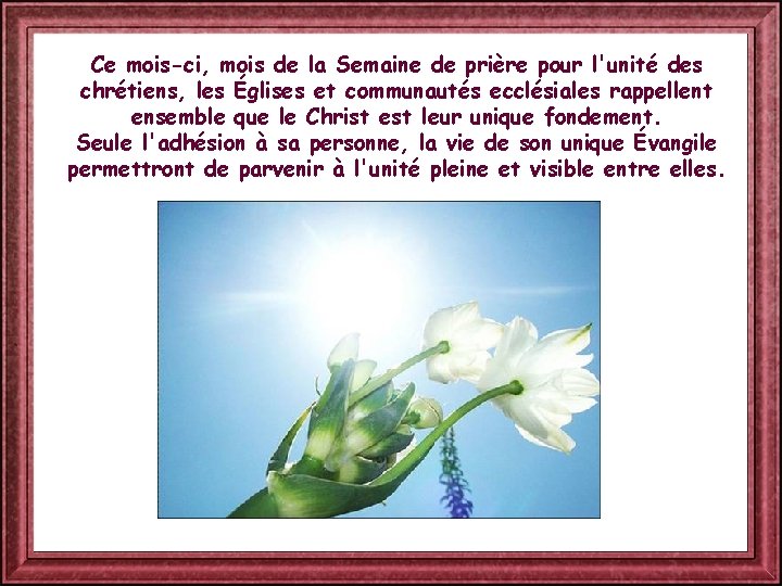 Ce mois-ci, mois de la Semaine de prière pour l'unité des chrétiens, les Églises