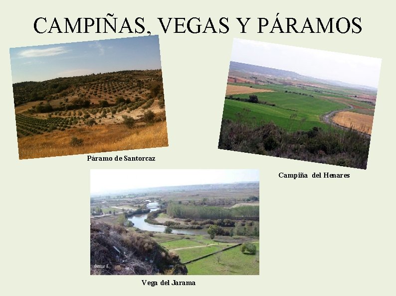 CAMPIÑAS, VEGAS Y PÁRAMOS Páramo de Santorcaz Campiña del Henares Vega del Jarama 