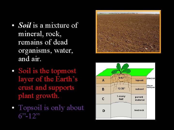  • Soil is a mixture of mineral, rock, remains of dead organisms, water,