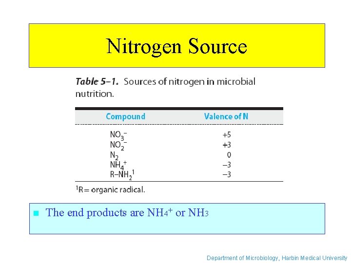 Nitrogen Source n The end products are NH 4+ or NH 3 Department of