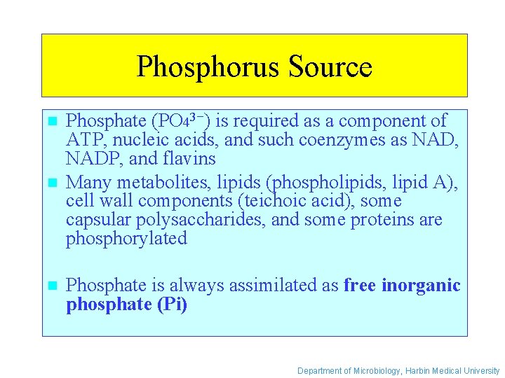 Phosphorus Source n n n Phosphate (PO 43−) is required as a component of