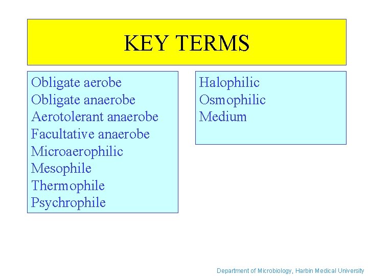 KEY TERMS Obligate aerobe Obligate anaerobe Aerotolerant anaerobe Facultative anaerobe Microaerophilic Mesophile Thermophile Psychrophile