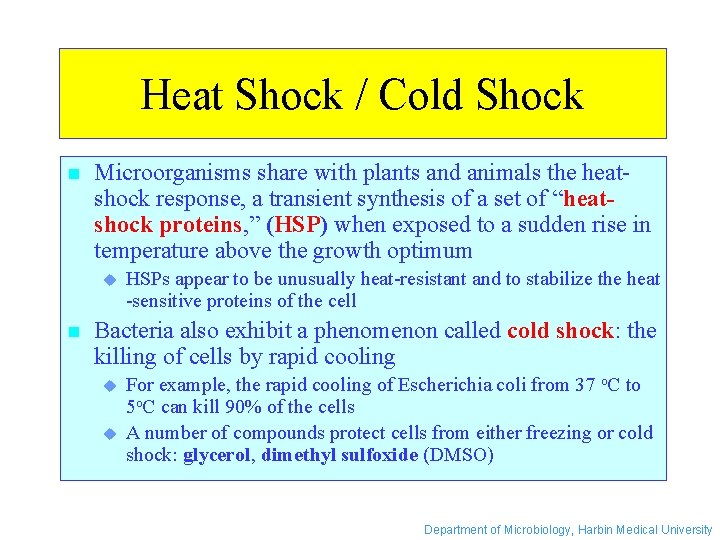 Heat Shock / Cold Shock n Microorganisms share with plants and animals the heatshock