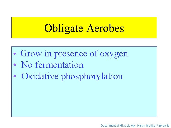 Obligate Aerobes • Grow in presence of oxygen • No fermentation • Oxidative phosphorylation