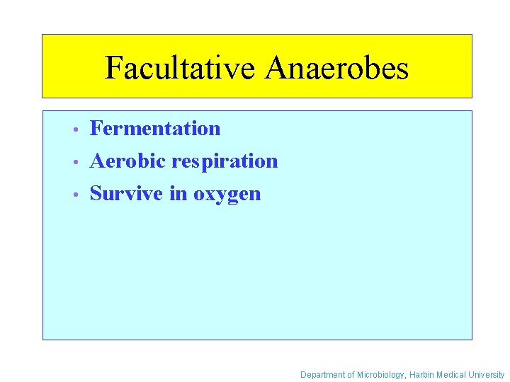 Facultative Anaerobes • • • Fermentation Aerobic respiration Survive in oxygen Department of Microbiology,