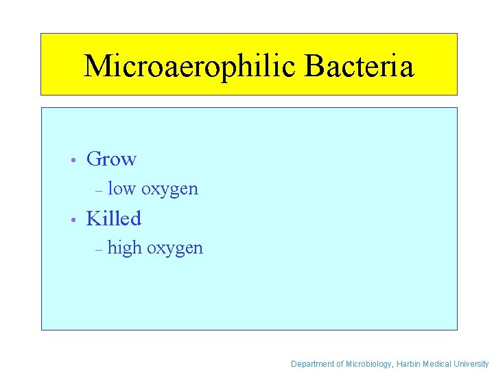 Microaerophilic Bacteria • Grow – • low oxygen Killed – high oxygen Department of