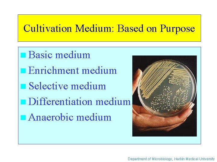 Cultivation Medium: Based on Purpose n Basic medium n Enrichment medium n Selective medium