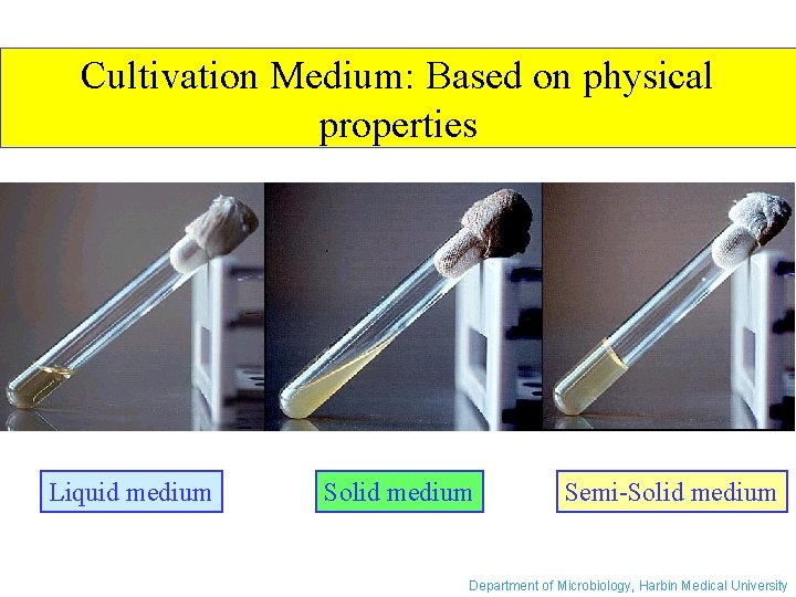 Cultivation Medium: Based on physical properties Liquid medium Solid medium Semi-Solid medium Department of