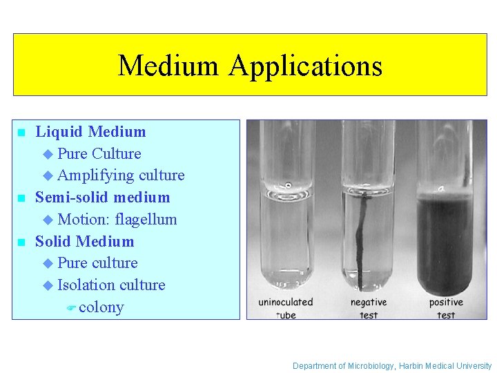 Medium Applications n n n Liquid Medium u Pure Culture u Amplifying culture Semi-solid