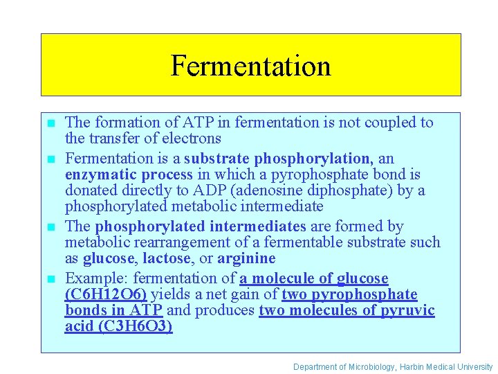 Fermentation n n The formation of ATP in fermentation is not coupled to the