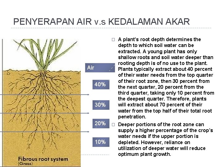 PENYERAPAN AIR v. s KEDALAMAN AKAR � A plant’s root depth determines the depth