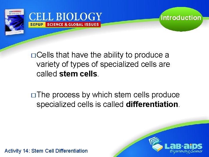 Introduction � Cells that have the ability to produce a variety of types of