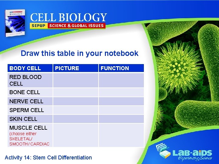 Draw this table in your notebook BODY CELL PICTURE RED BLOOD CELL BONE CELL