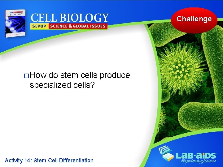 Challenge � How do stem cells produce specialized cells? Activity 14: Stem Cell Differentiation