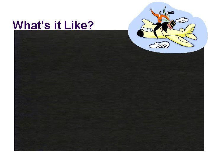 What’s it Like? 