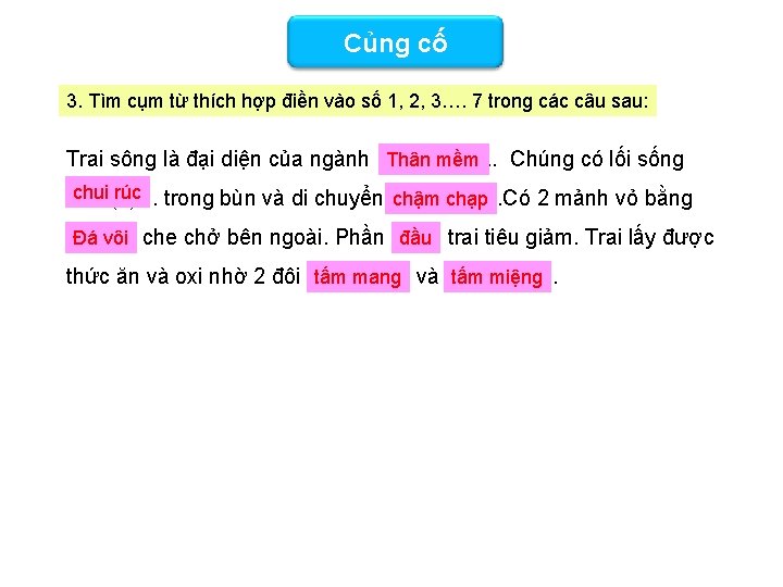 Củng cố 3. Tìm cụm từ thích hợp điền vào số 1, 2, 3….