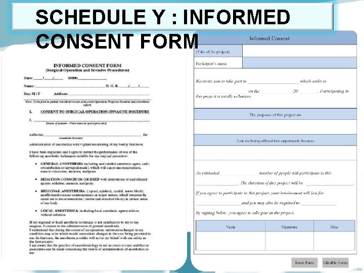 SCHEDULE Y : INFORMED CONSENT FORM 
