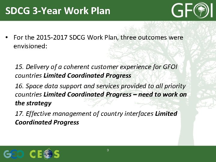 SDCG 3 -Year Work Plan • For the 2015 -2017 SDCG Work Plan, three