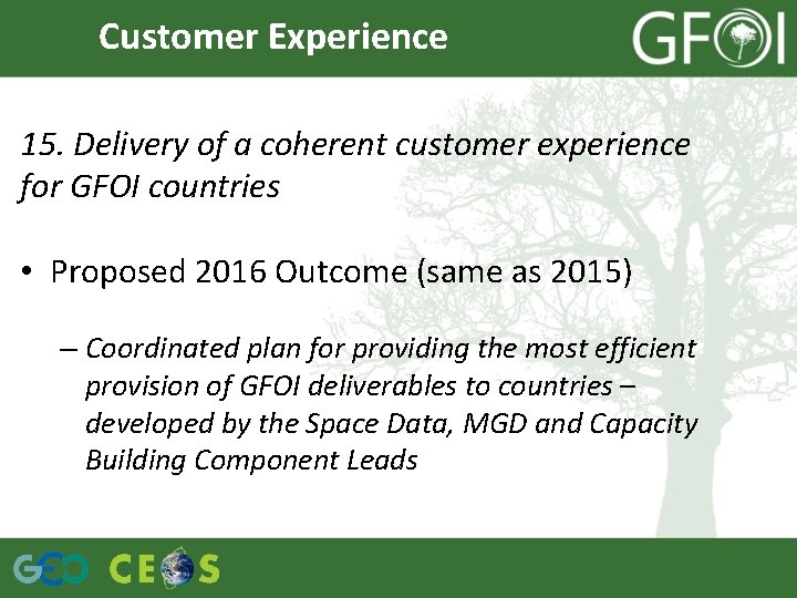 Customer Experience 15. Delivery of a coherent customer experience for GFOI countries • Proposed