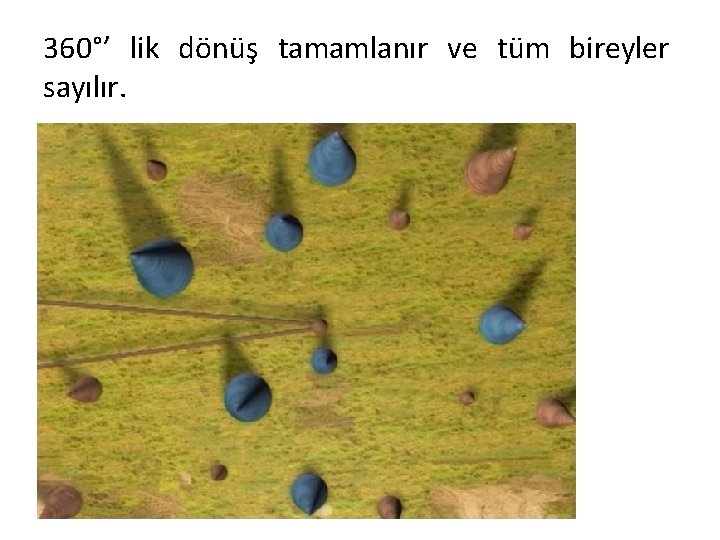 360°’ lik dönüş tamamlanır ve tüm bireyler sayılır. 