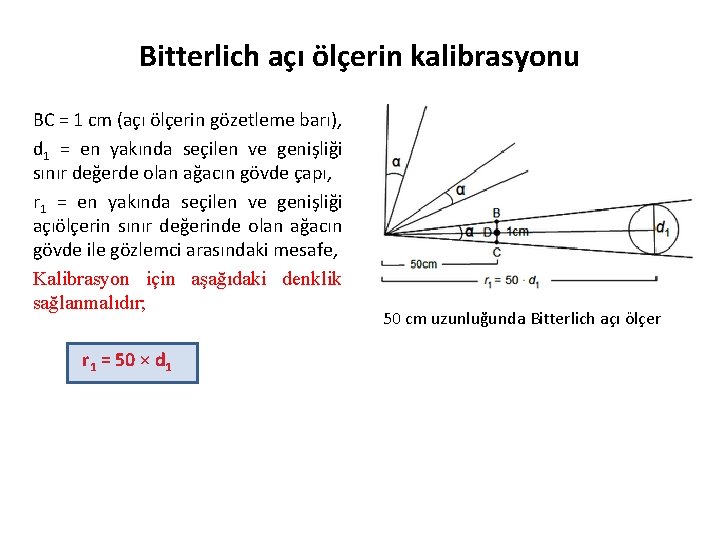 Bitterlich açı ölçerin kalibrasyonu BC = 1 cm (açı ölçerin gözetleme barı), d 1
