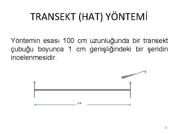 TRANSEKT (HAT) YÖNTEMİ Yöntemin esası 100 cm uzunluğunda bir transekt çubuğu boyunca 1 cm