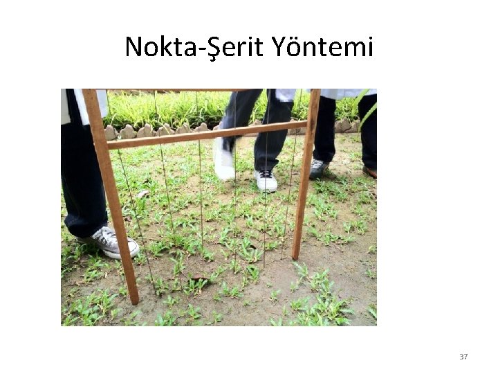 Nokta-Şerit Yöntemi 37 