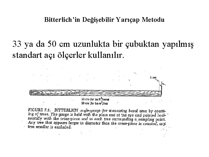 Bitterlich’in Değişebilir Yarıçap Metodu 33 ya da 50 cm uzunlukta bir çubuktan yapılmış standart