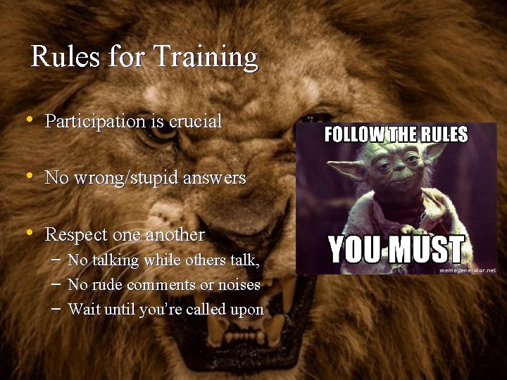 Rules for Training • Participation is crucial • No wrong/stupid answers • Respect one