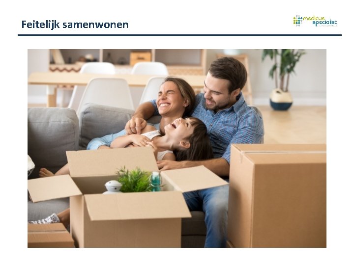 Feitelijk samenwonen 