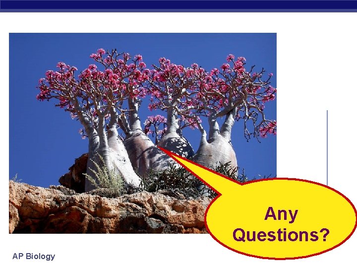 Any Questions? ? Any Questions? AP Biology 