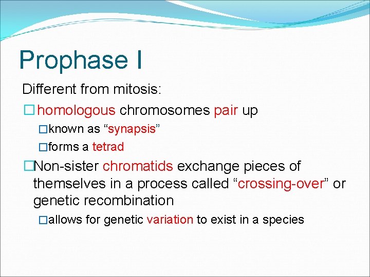 Prophase I Different from mitosis: � homologous chromosomes pair up �known as “synapsis” �forms