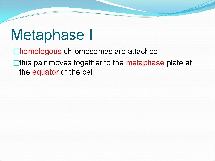 Metaphase I �homologous chromosomes are attached �this pair moves together to the metaphase plate