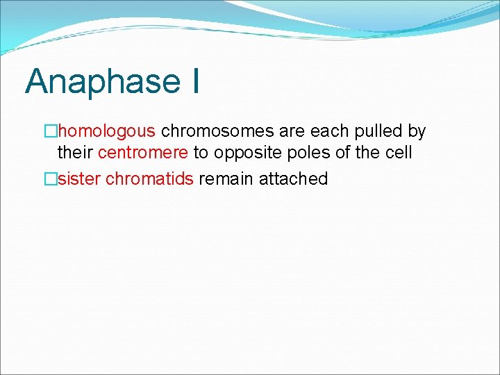 Anaphase I �homologous chromosomes are each pulled by their centromere to opposite poles of